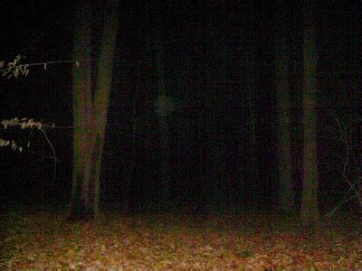 Haunted Houses and Poltergeist Activity on Buckout Road: Urban Legends or Truth?